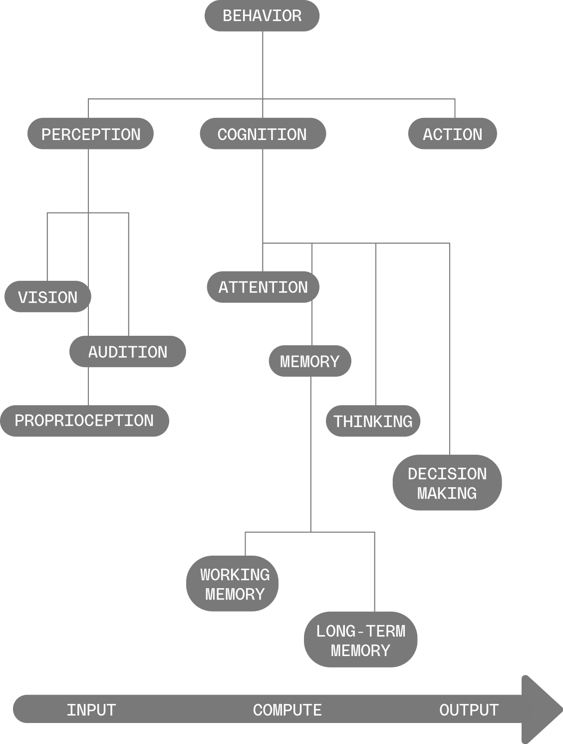 This graphic illustrates the classic computational model of the mind. On the left is “perception”, the input that humans take in; centered is “cognition,” the processing of that input in some fashion; and on the right is “action,” the output that results from computational processing. The flow is from left to right -- input to cognition to output.