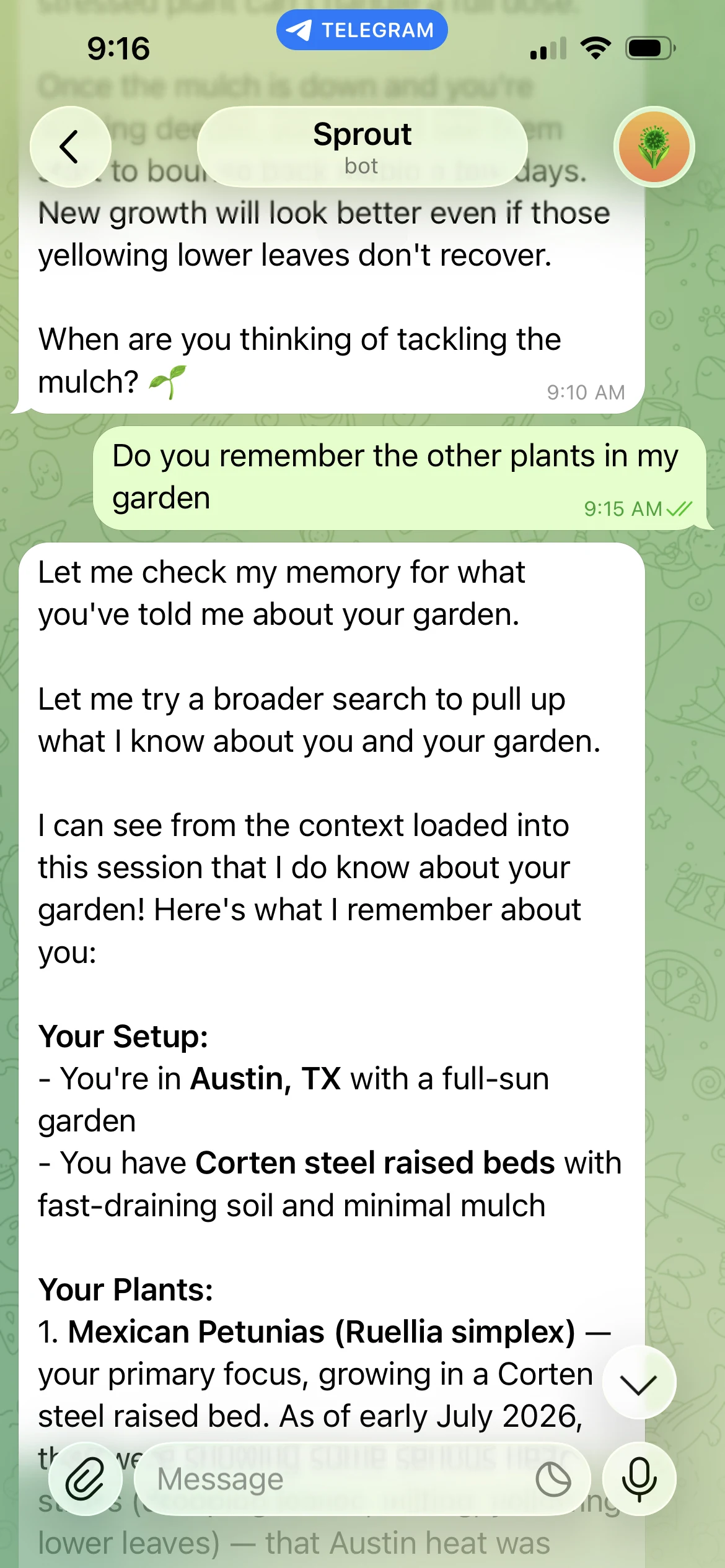 Telegram chat where Sprout recalls the user’s full garden inventory, location, and sun exposure in response to a question