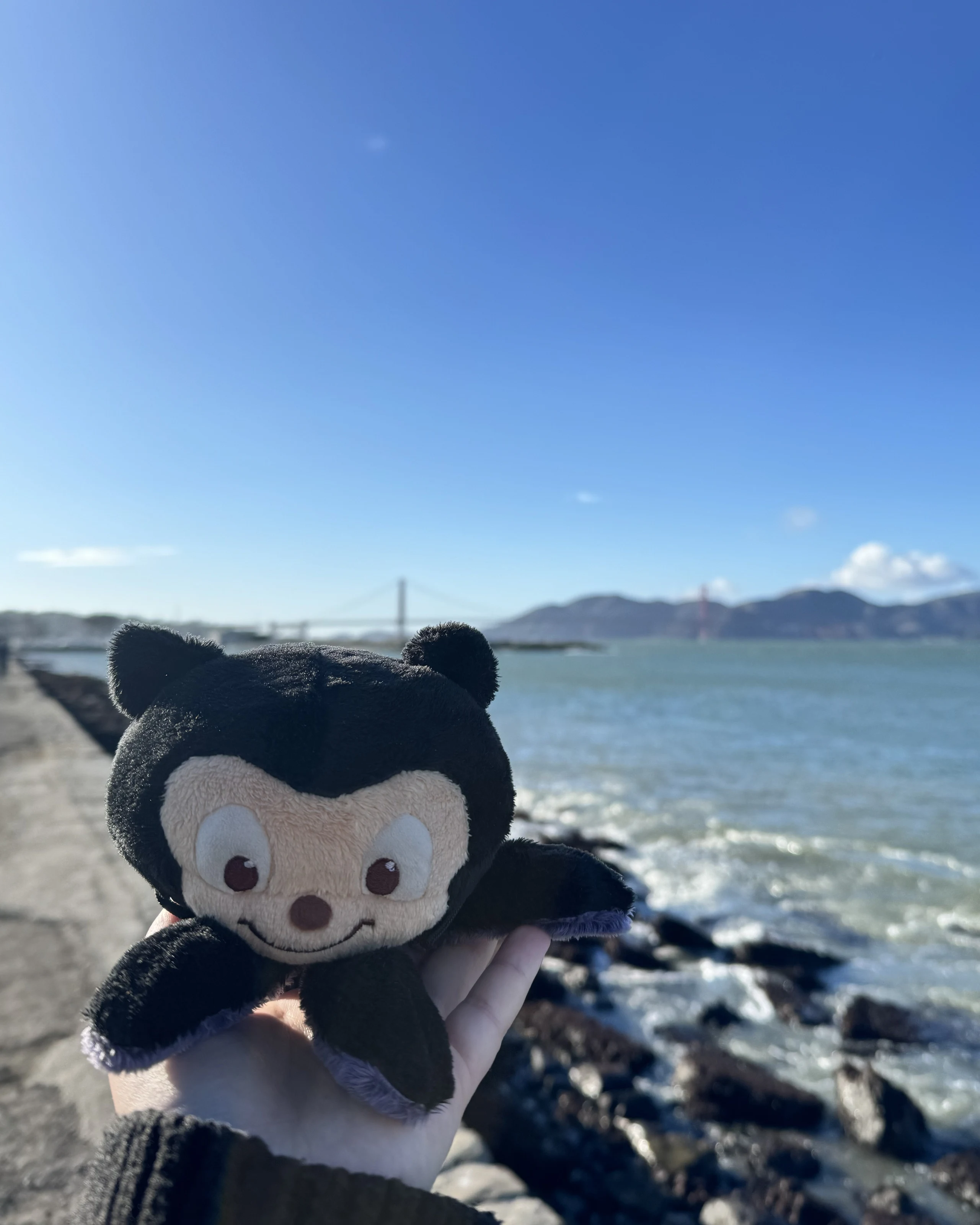 Mona the octocat plushie held up by a hand in front of the Golden Gate Bridge.