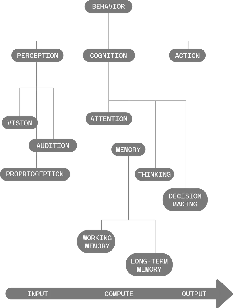 This graphic illustrates the classic computational model of the mind. On the left is “perception”, the input that humans take in; centered is “cognition,” the processing of that input in some fashion; and on the right is “action,” the output that results from computational processing. The flow is from left to right -- input to cognition to output.
