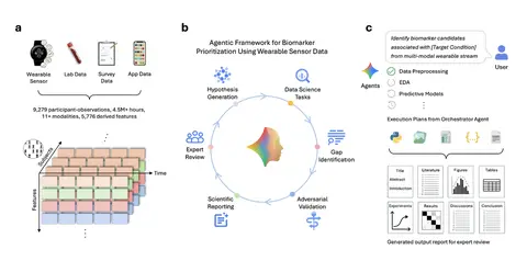 A conceptual diagram illustrating a cyclical AI-driven biomarker discovery process analyzing wearable and clinical data.