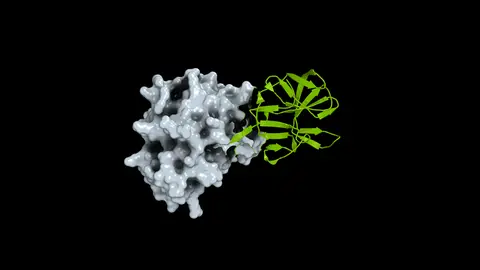 How Open Science Can Help Researchers Prepare for the Next Pandemic